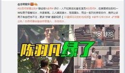 何磊最新爆料视频大全集,揭秘背后真相与精彩瞬间