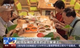 阳光食堂爆料视频大全,揭秘校园美食背后的故事